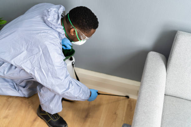 Best Fumigation Services  in Antigo, WI